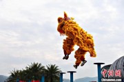 万年历表（文化中国行）壮乡狮舞闯南洋：脚踏“云桩” 饮誉海内外